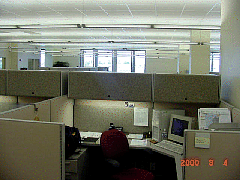 DSC00117z.JPG
