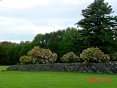 DSC00506.JPG