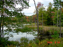 DSC00509.JPG