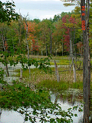 DSC00510r.JPG