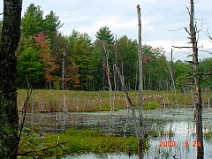 DSC00511.JPG