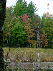 DSC00512r.JPG