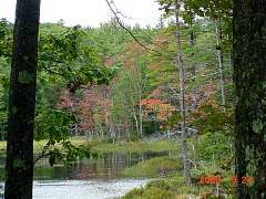 DSC00526.JPG